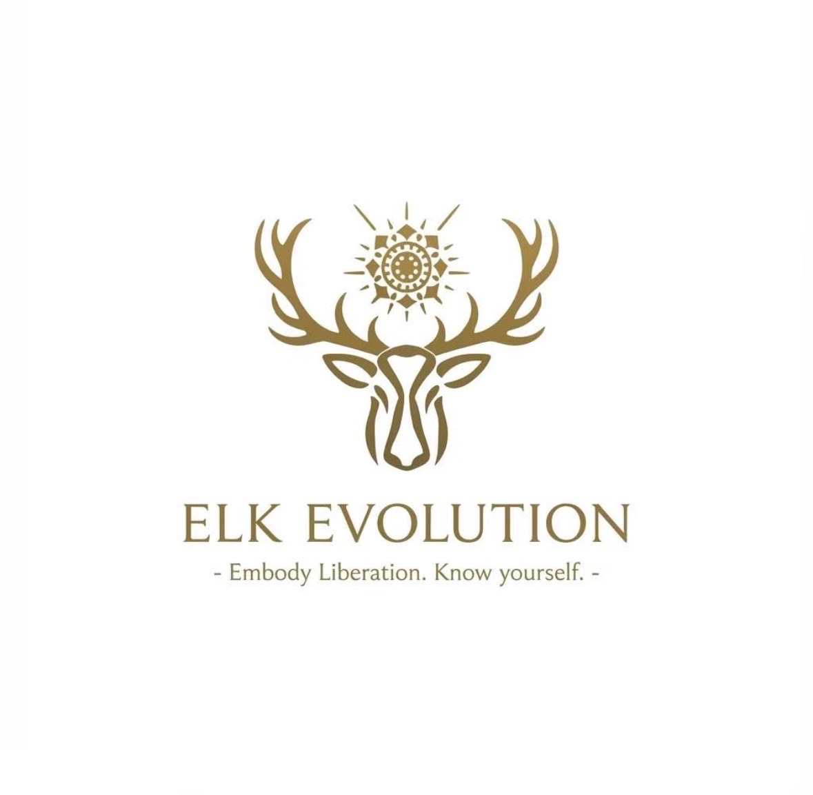 ELK Evolution 1