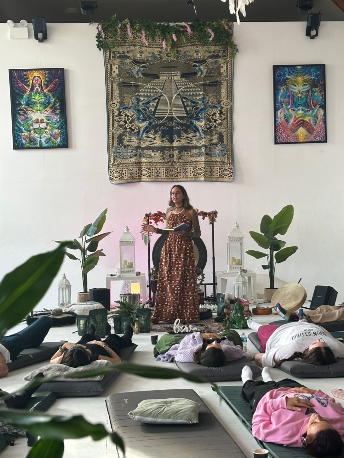 ELK Evolution gallery