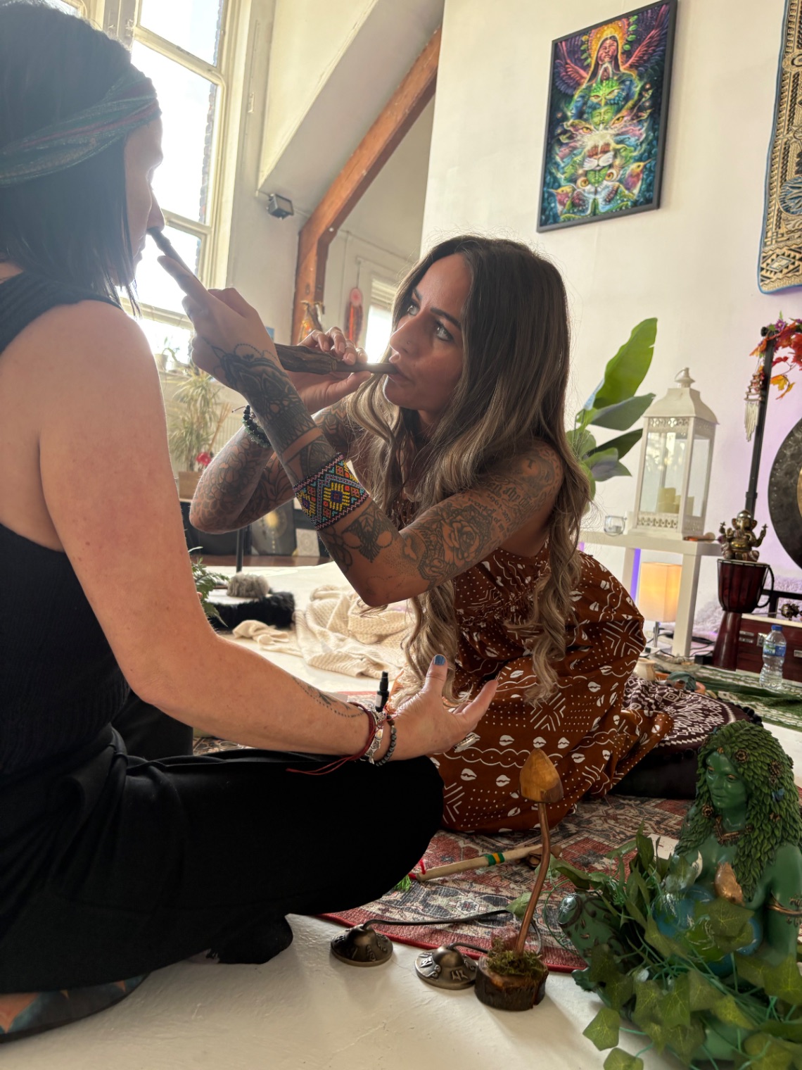 ELK Evolution gallery