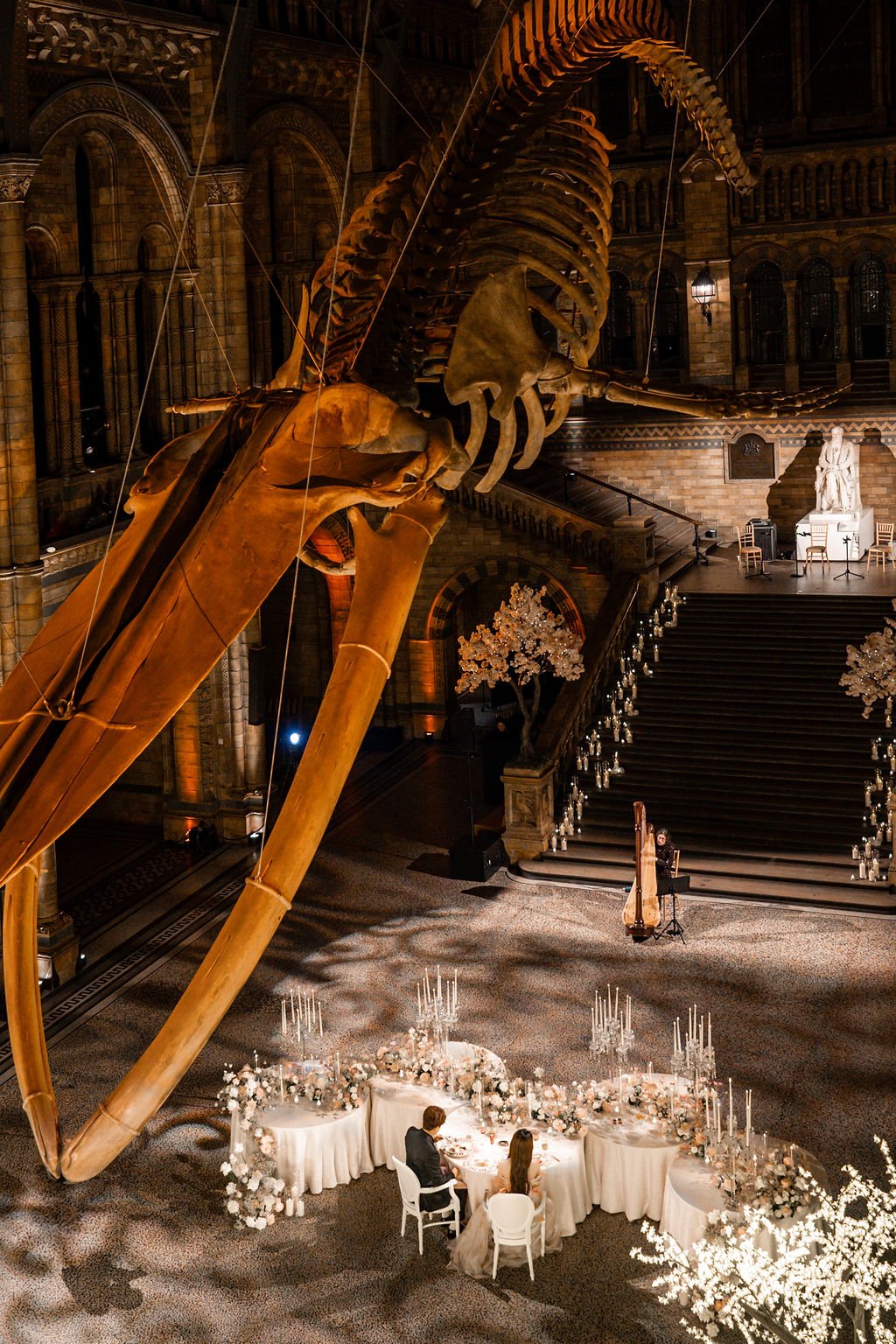 Noa Davies - Harpist  gallery