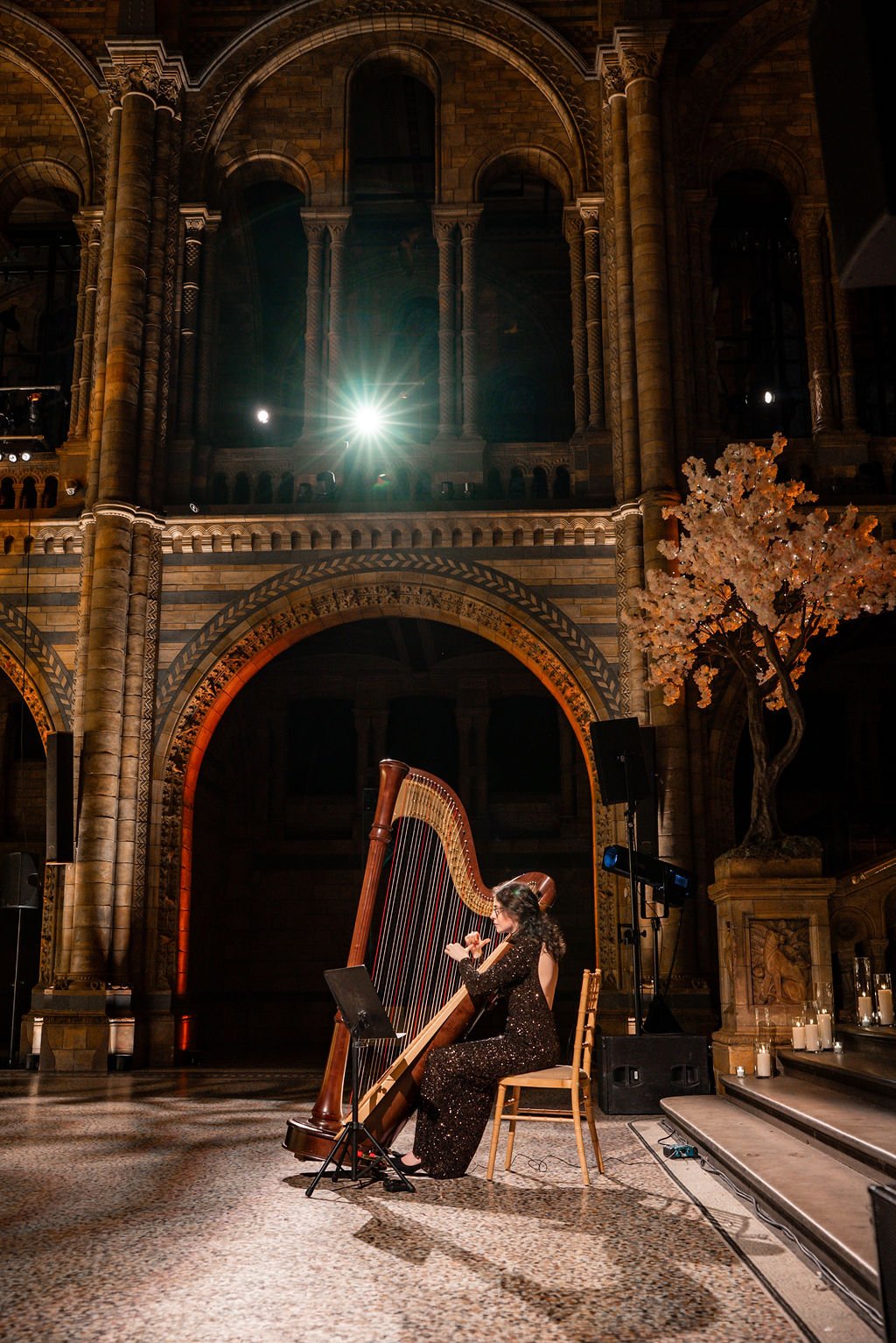 Noa Davies - Harpist  gallery