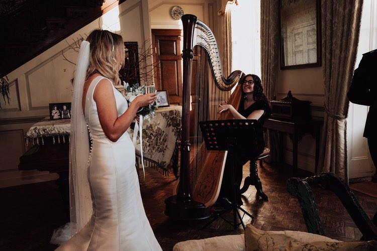 Noa Davies - Harpist  gallery