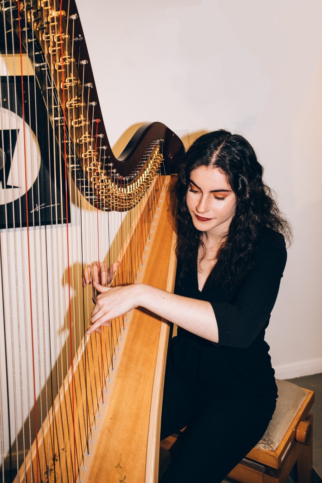 Noa Davies - Harpist  gallery
