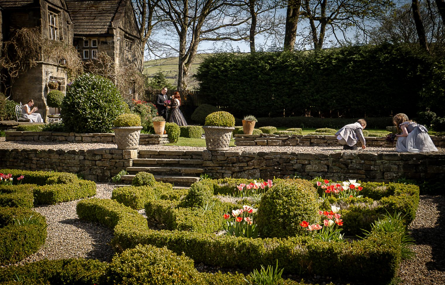 David Auston Photography gallery