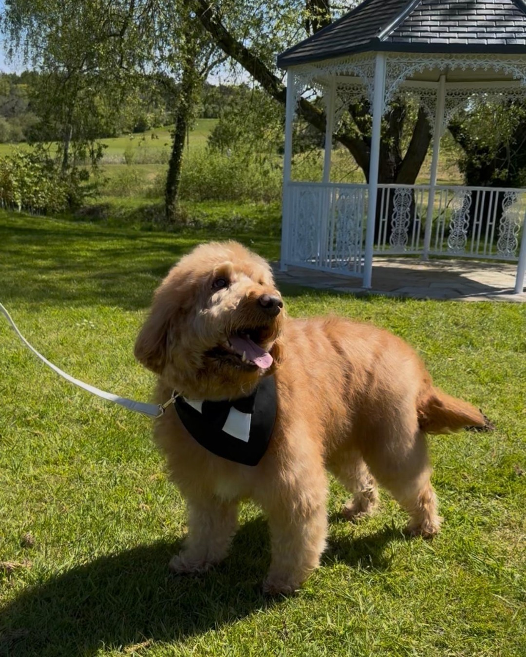 Ever Lace Media gallery